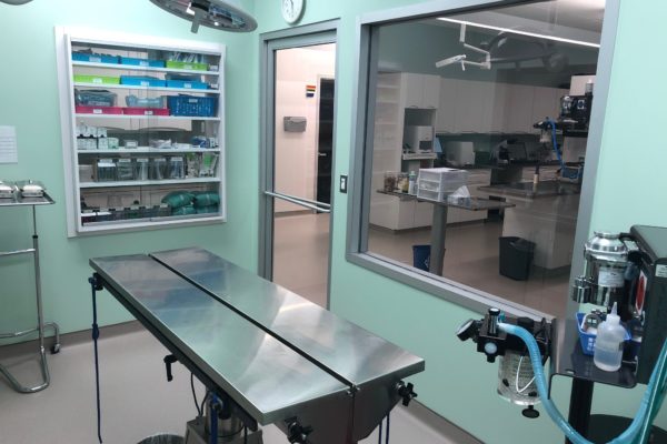 Surgical Suite